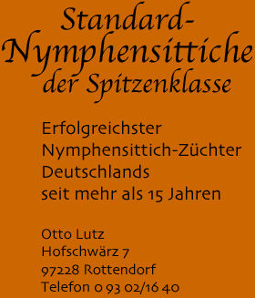 Standard-Nymphensittiche der Spitzenklasse